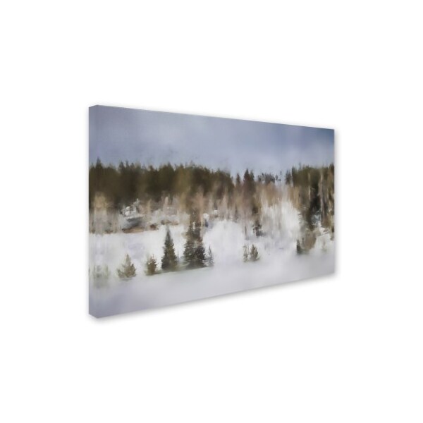 Jai Johnson 'Winter Impressions In Colorado 8' Canvas Art,16x24